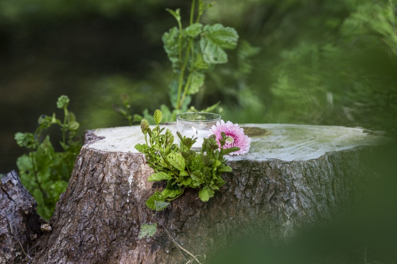 Profilbild von Erna Bodensohn